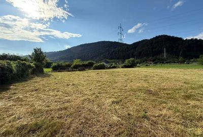 Teren în Stejaru (Farcașa) - 2
