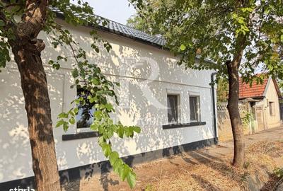 Casă cu 3 camere în Santăul Mic