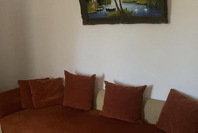 Casă cu 2 camere cu Teren 30 Mp în Sadu - 10