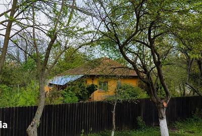Casă cu 2 camere cu Teren 3026 Mp în Movilița