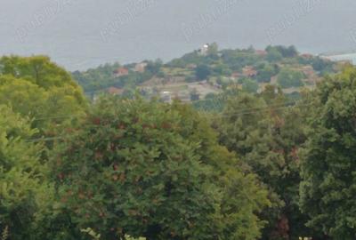 Teren de 7000 mp, în Central
