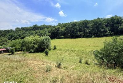 Teren de 2500 mp, în Sântana de Mureș - 7