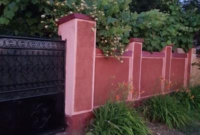 Casă cu 3 camere în Șicula - 2