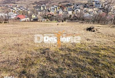 Spațiu comercial, în Valea Lupului