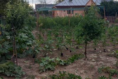 Casă cu 4 camere cu Teren 1000 Mp în Central