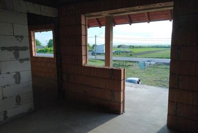 Casă cu 4 camere cu Teren 6600 Mp în Secu