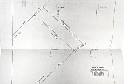 Teren de 110000 mp, în Crângurile - 1