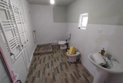 Casă cu Teren 1151 Mp în Oravița - 5