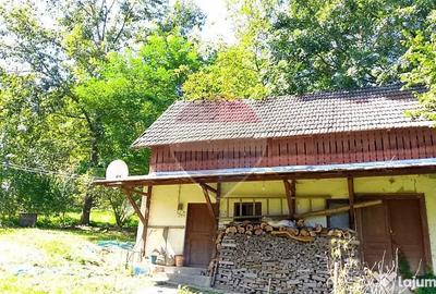 Casă cu 4 camere cu Teren 6676 Mp în Provița de Sus