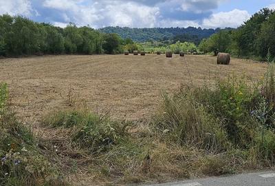 Teren de 11600 mp, în Păltiniș