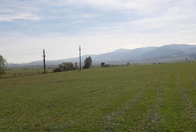 Teren extravilan de 9200 mp, în Băile Miercurea - 6