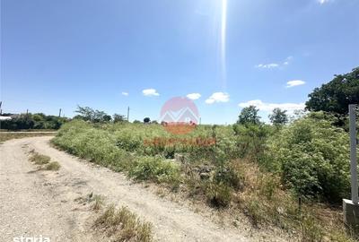 Teren de 1700 mp, în Amzacea - 5