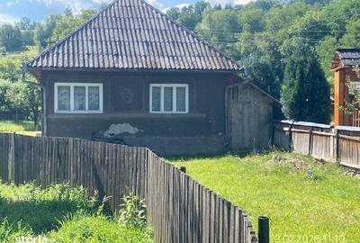 Casă cu 2 camere în Dragomirești