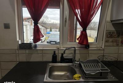 Casă cu 10 camere cu Teren 1000 Mp în Roșia - 11