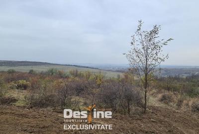 Teren de 900 mp, în Ciurea - 4