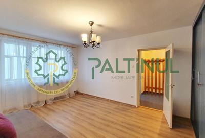 Apartament cu 2 camere semidecomandat, mobilat în Cedonia - 4