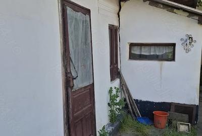 Casă cu Teren 1300 Mp în Bragadiru - 4