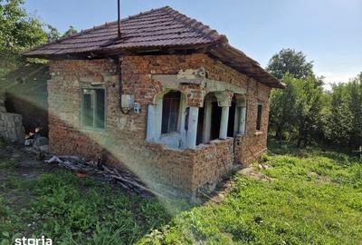 Teren de 2200 mp, în Milcoiu - 5