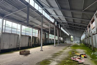 Spațiu industrial, de 800 mp, în Piața Centrală - 7