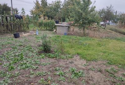 Teren Construcții intravilan de 1900 mp, în Stăuceni - 6