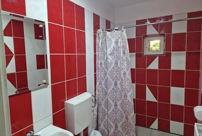 Casă individuală cu 5 camere cu Teren 1298 Mp în Colibița - 3