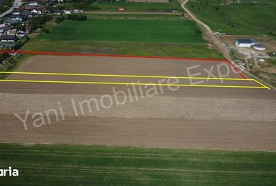 Teren de 526 mp, în Ciocănești - 8