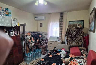 Casă cu 2 camere cu Teren 1150 Mp în Pustiniș