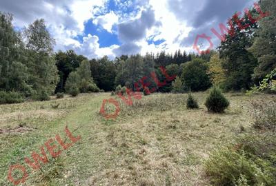 Teren agricol extravilan de 5.5 mp, în Cernat - 2
