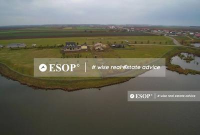 Teren Construcții intravilan de 67449 mp, în Dascălu - 1