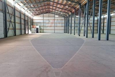 Spațiu industrial, de 1,000 mp, în Tunari - 4