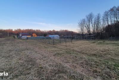 Teren de 500 mp, în Moșoaia - 6