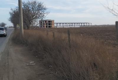 Teren agricol intravilan de 4.5 mp, în Brăilei - 8