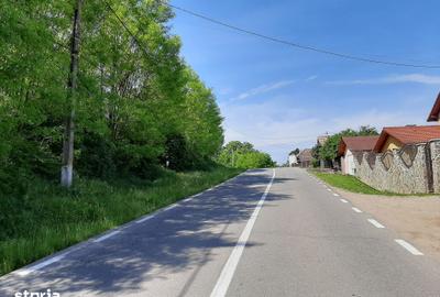 Teren de 700 mp, în Alba
