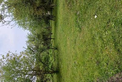 Teren de 1860 mp, în Valea Unghiului - 7