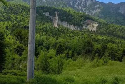 Teren în Cumpătu