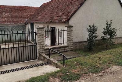 Casă cu Teren 8000 Mp în Turmaș - 5