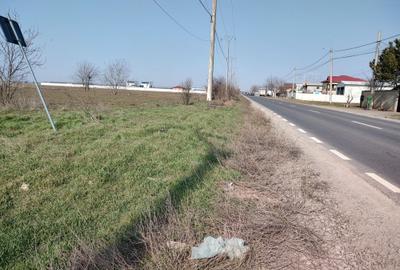 Teren de 5000 mp, în Frumușani - 14
