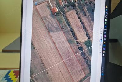 Teren de 10000 mp, în Mănești