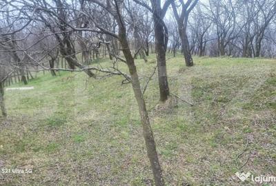 Teren în Schiulești - 15