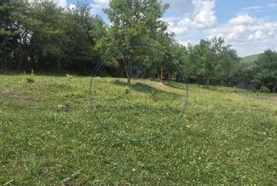 Teren de 3000 mp, în Figa