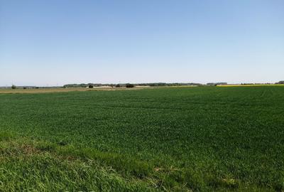 Teren agricol intravilan de 5114 mp, în 1 Decembrie - 3
