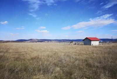 Teren de 570 mp, în Mărăcineanu - 2