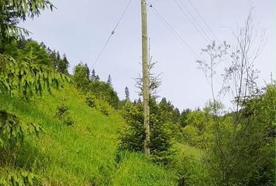 Teren de 3000 mp, în Bicazu Ardelean - 4