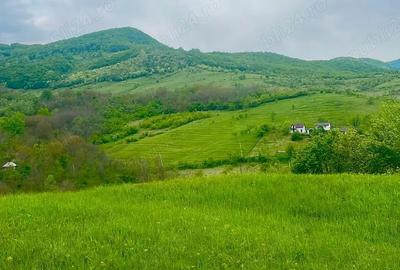 Teren în Cozieni - 8