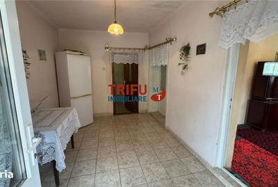 Casă cu 3 camere cu Teren 537 Mp în Ighiu - 8