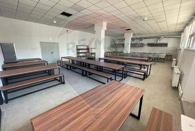 Casă individuală cu 25 camere cu Teren 2600 Mp în Berceni - 8