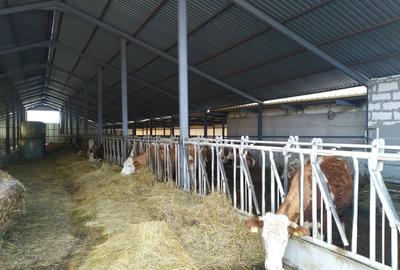 Spațiu comercial, de 1,000 mp, în Izvoru Crișului - 2