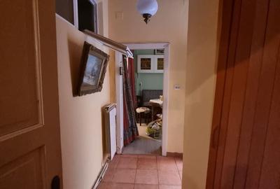 Apartament cu 3 camere semidecomandat în Teiul Doamnei - 5