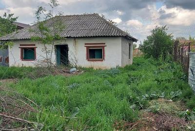 Teren de 660 mp, în Frumușani - 7