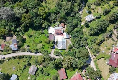 Teren de 8277 mp, în Provița de Jos